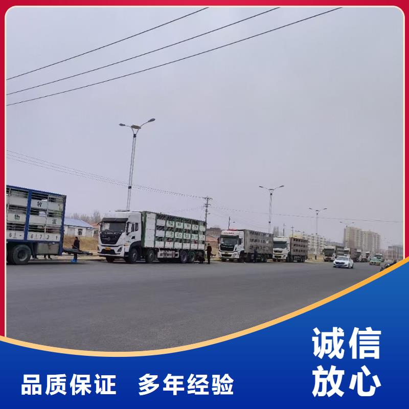 三门峡至仔猪运输恒温车多年经验