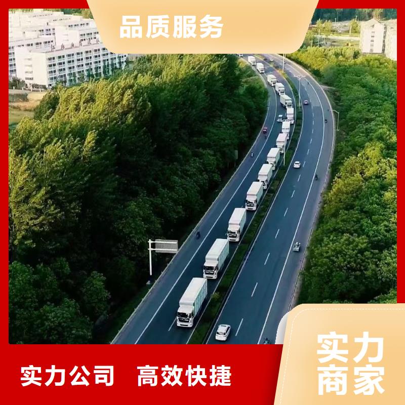 泗洪县至仔猪空调车运输安静舒适