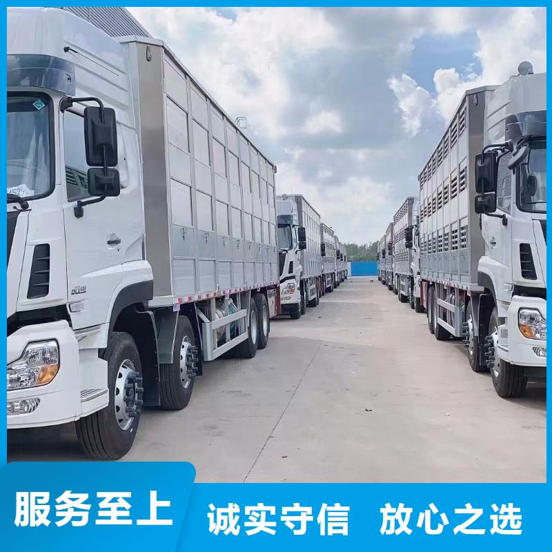日照到牛运输专用车平稳