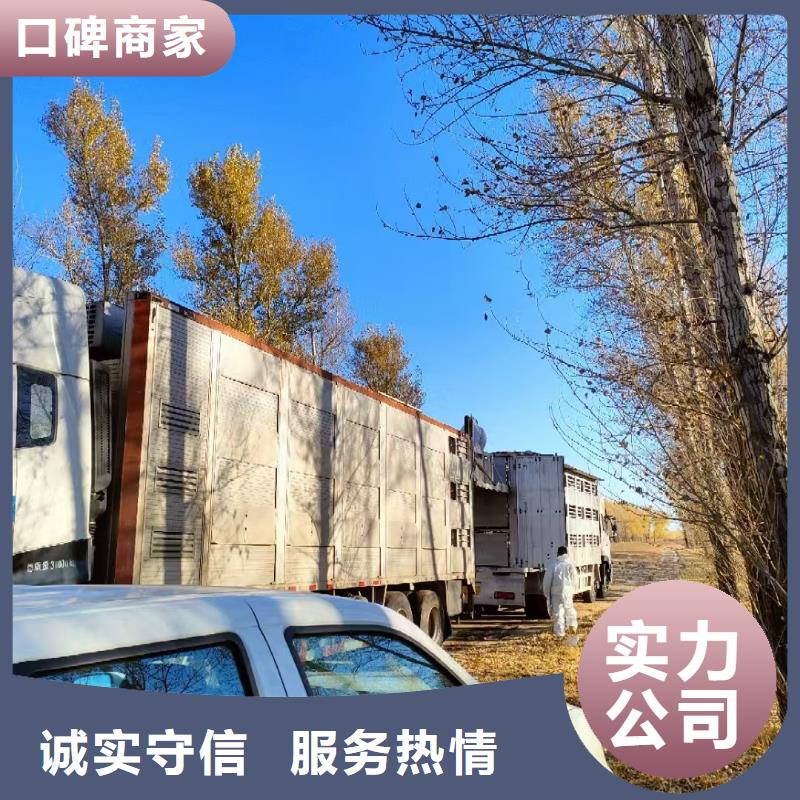 威海到生猪运输空调车经验丰富