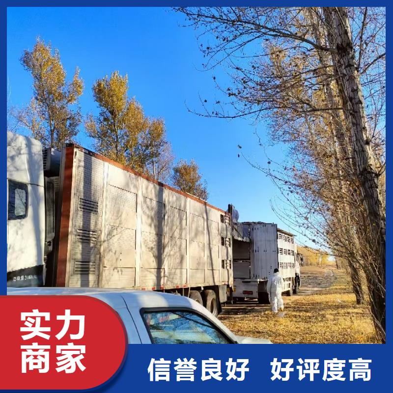 宿迁市沭阳到猪只运输专用车-恒温车好评度高