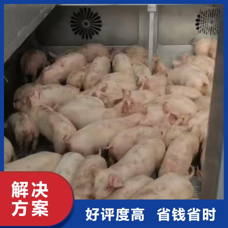 无锡到恒温车运输-空调车全程呵护