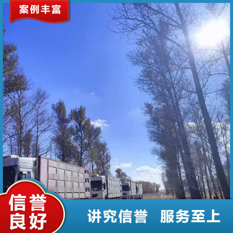 浙江到猪牛羊运输体系完善