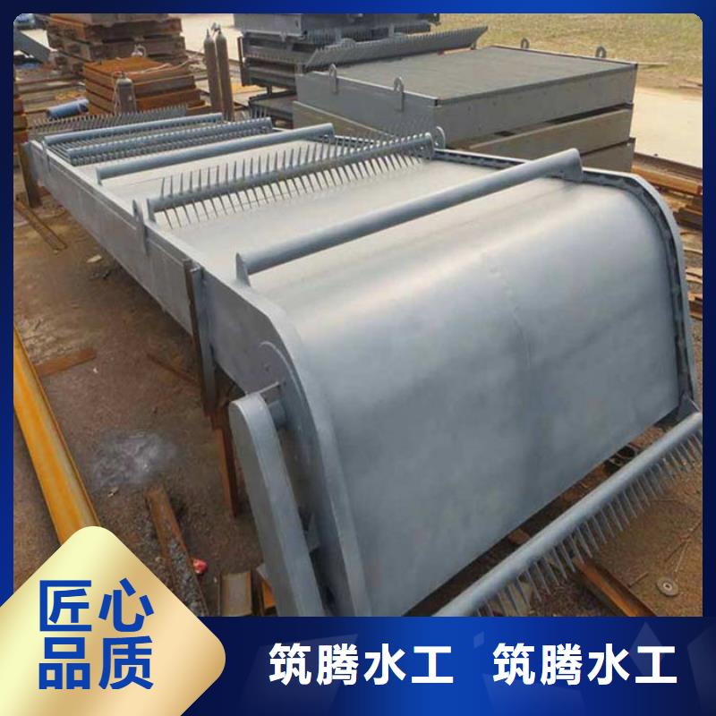 循环式齿耙清污机实力工厂