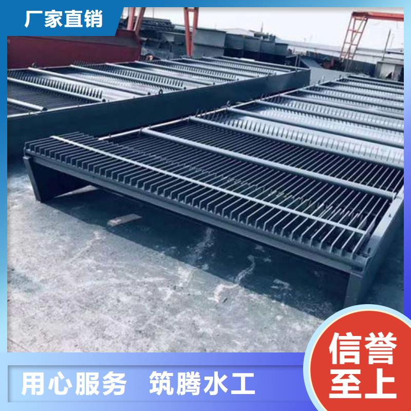 循环式齿耙清污机实力工厂