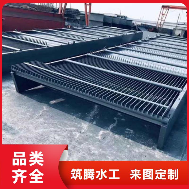 循环式齿耙清污机实力工厂