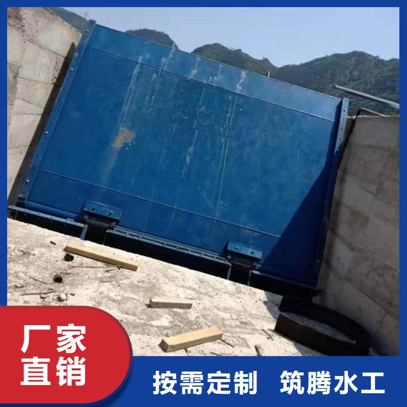 液压合页坝细节展示