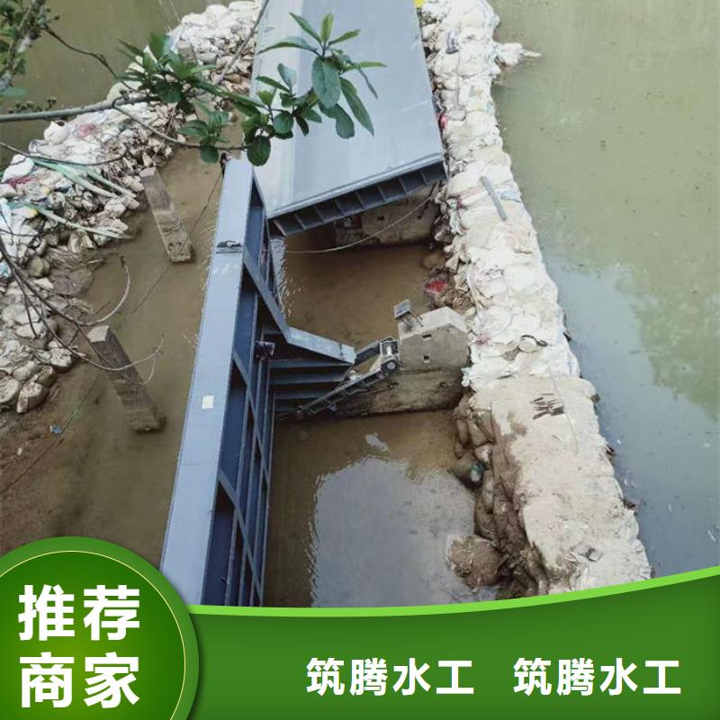 翻板闸门厂家型号齐全