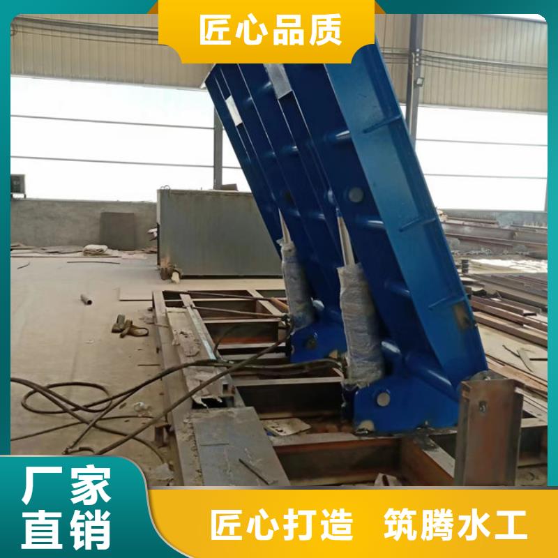 液压合页坝细节展示