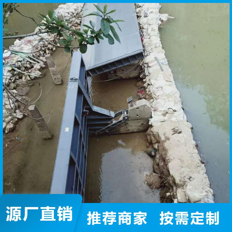 底横轴旋转液压钢坝产地直供