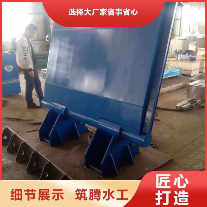 翻板闸门厂家型号齐全