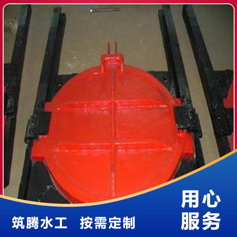 双向镶铜铸铁闸门型号齐全