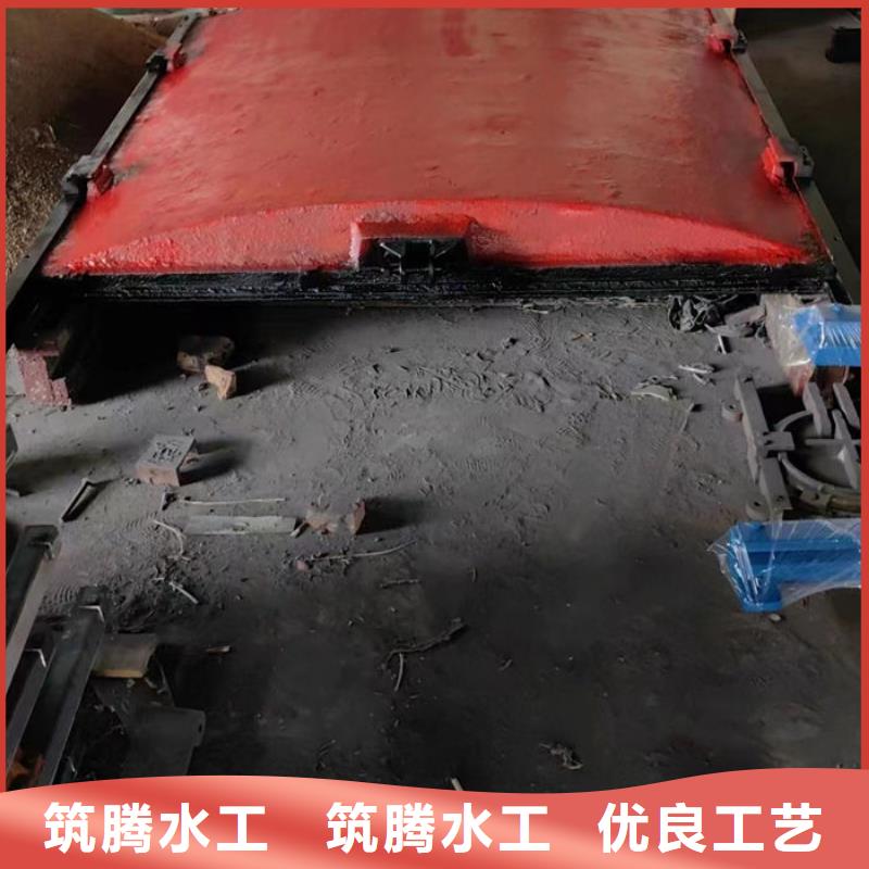 雨污分流闸门型号齐全