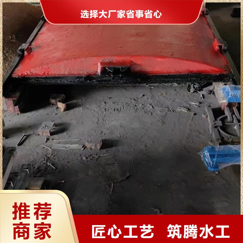 泵站铸铁闸门工厂直供