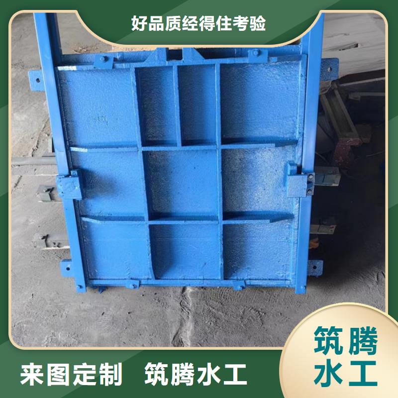 双向镶铜铸铁闸门型号齐全