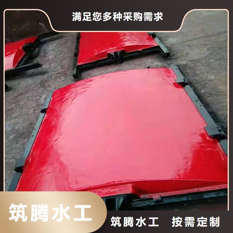 双向镶铜铸铁闸门型号齐全