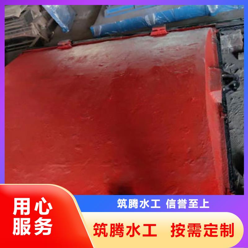 机门一体闸门工厂直供