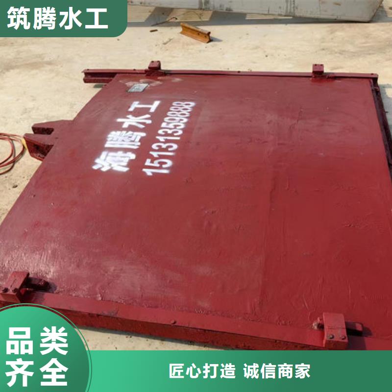 铸铁镶铜闸门用心经营
