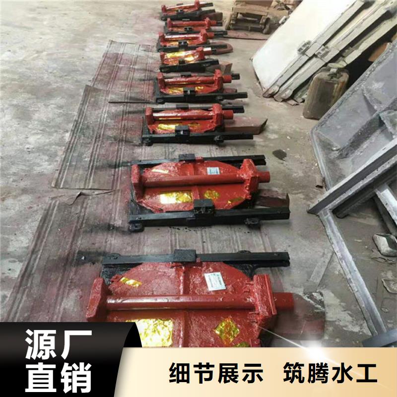 双向镶铜铸铁闸门型号齐全