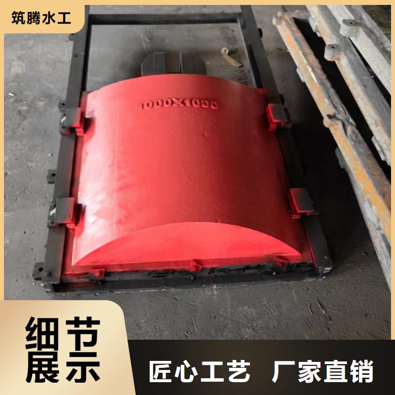 机门一体闸门工厂直供
