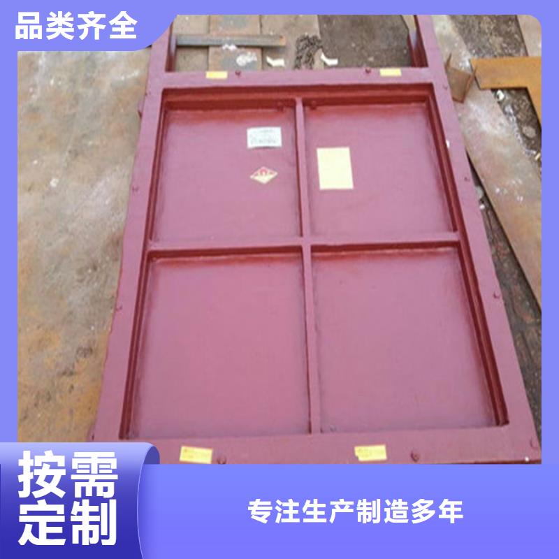 泵站铸铁闸门工厂直供