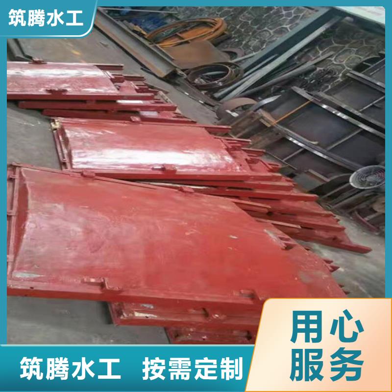 平板铸铁闸门诚信为本