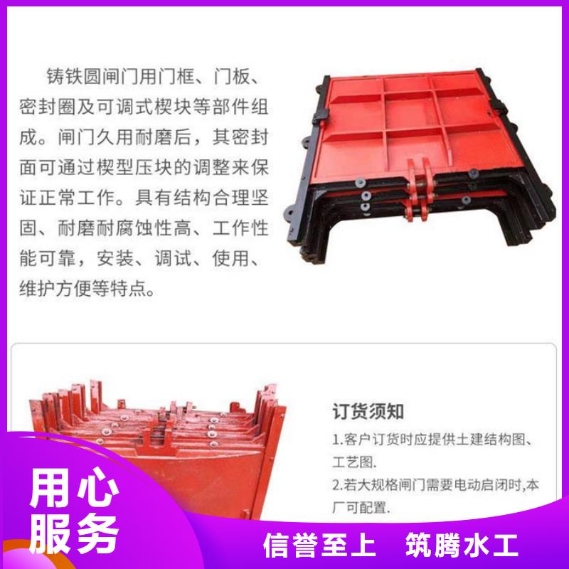 双向镶铜铸铁闸门型号齐全