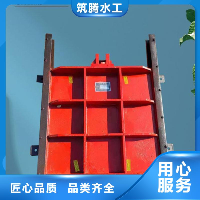 泵站铸铁闸门工厂直供