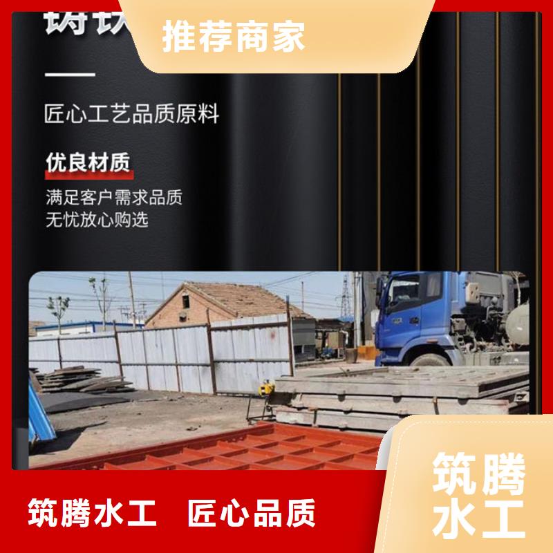 双向镶铜铸铁闸门型号齐全