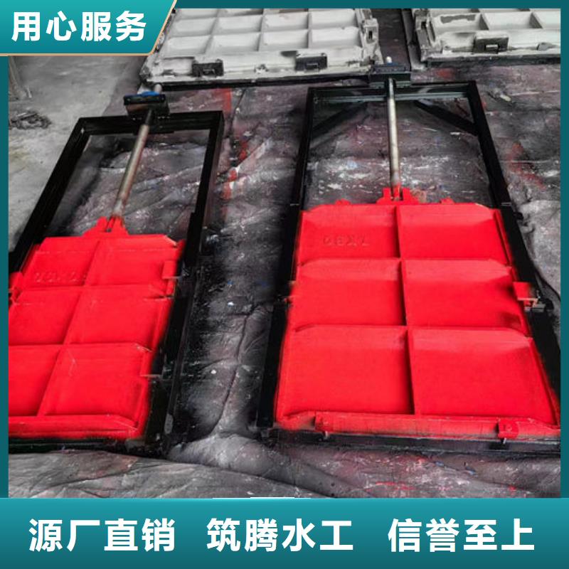 雨污分流闸门工厂直供