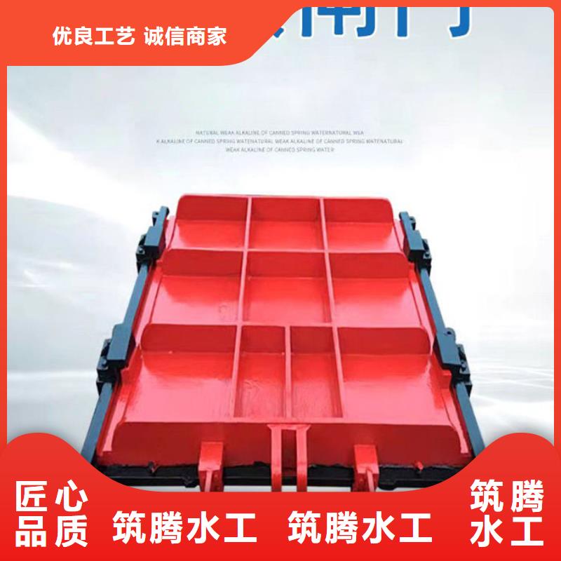 铸铁镶铜闸门用心经营