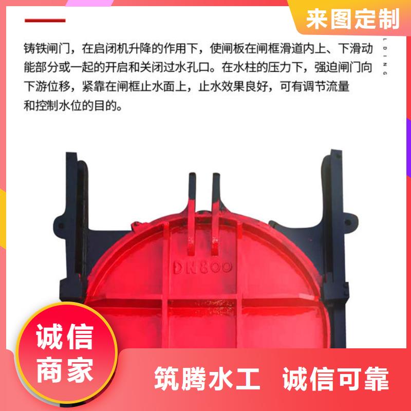 机门一体闸门工厂直供