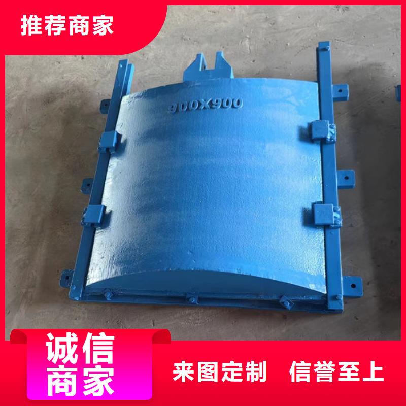 双向镶铜铸铁闸门型号齐全