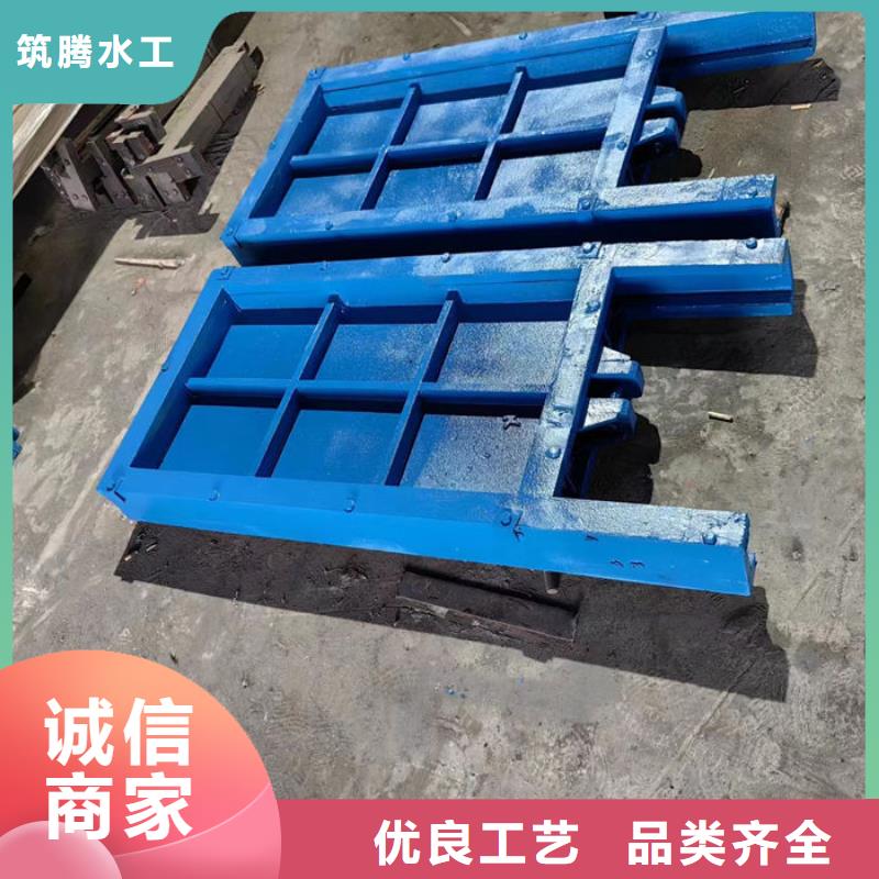 铸铁镶铜闸门用心经营