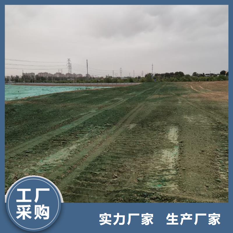 结壳抑尘剂专用绿色浆18133866866实力工厂