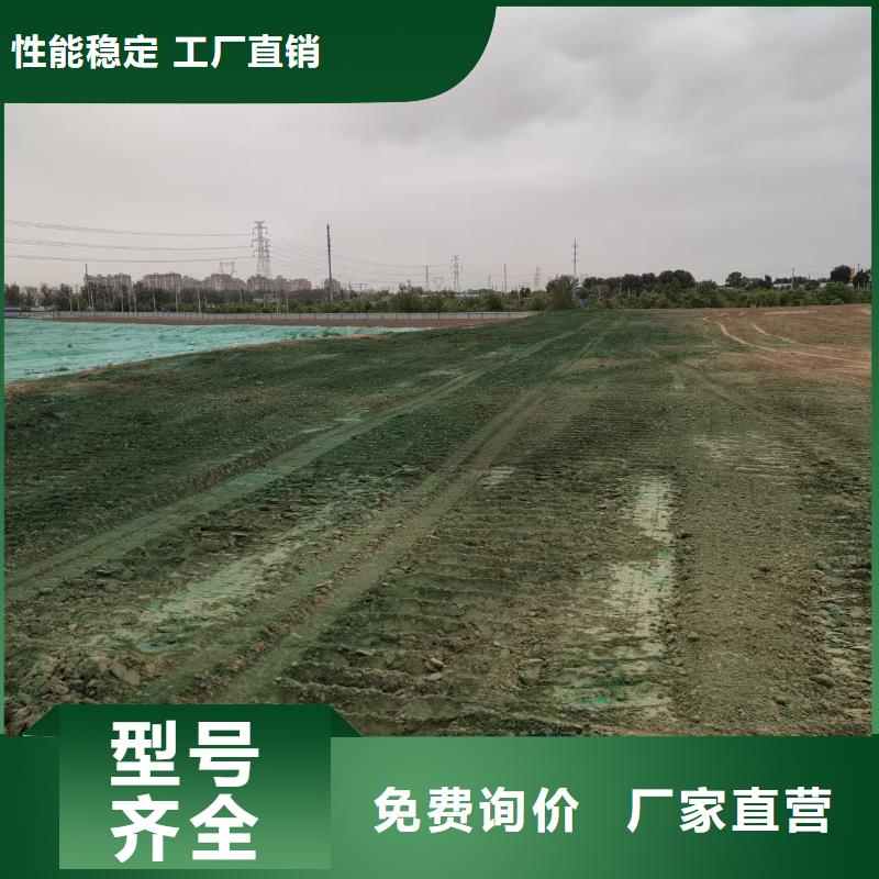 结壳抑尘剂专用绿色浆生产厂家
