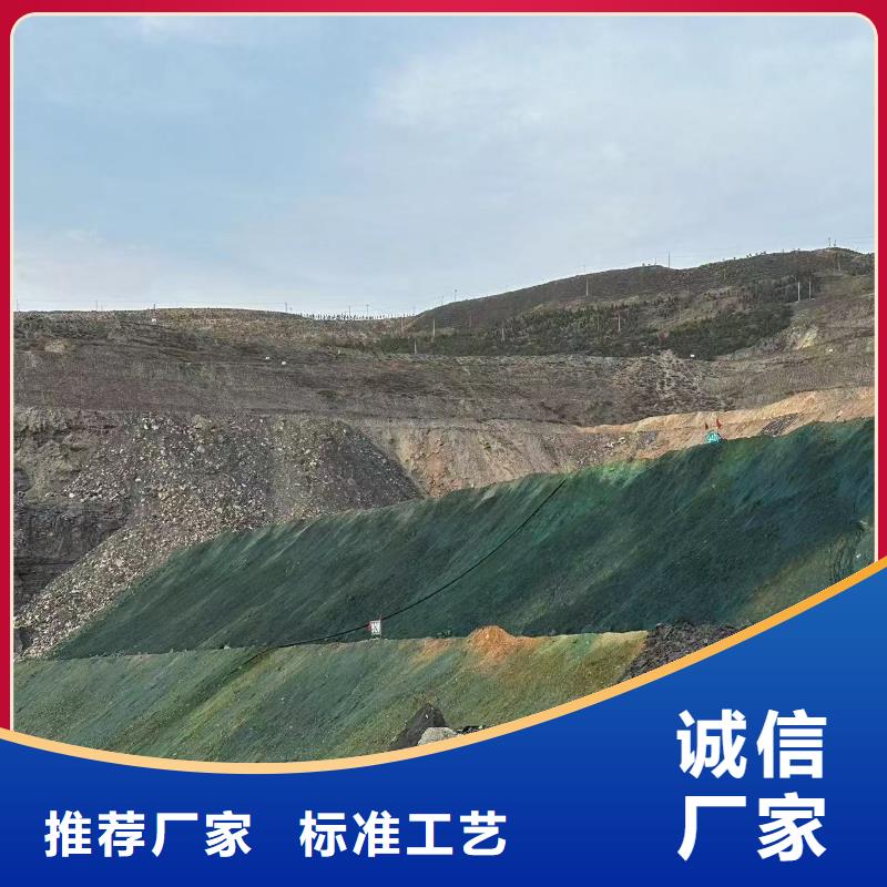 结壳抑尘剂专用绿色浆