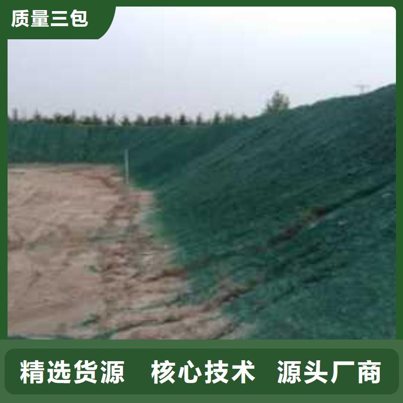 环保结壳抑尘剂实力厂家