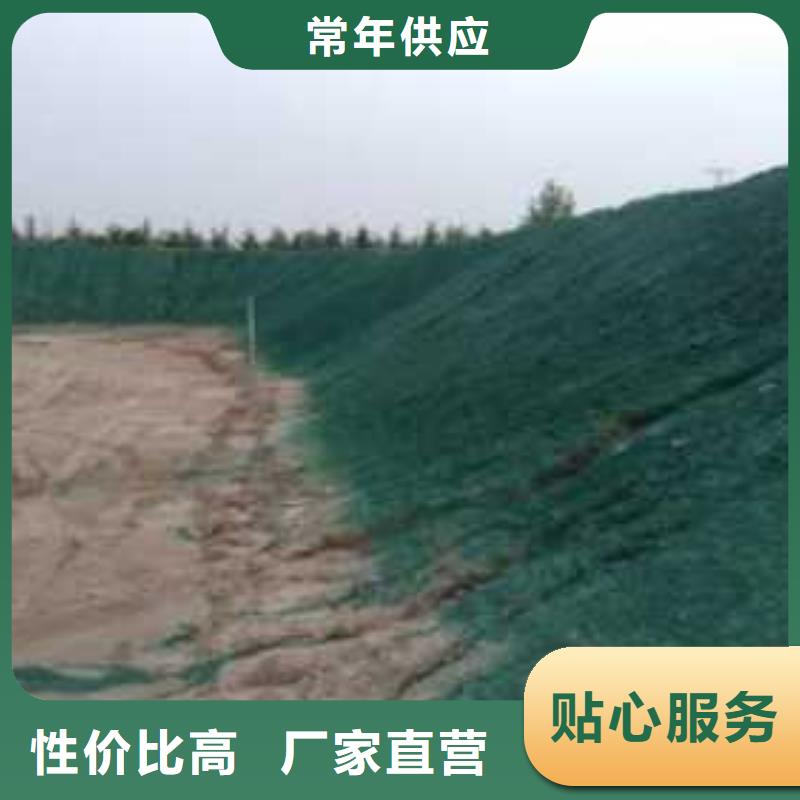 环保结壳抑尘剂生产厂家